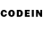 Псилоцибиновые грибы GOLDEN TEACHER Twiceif SH