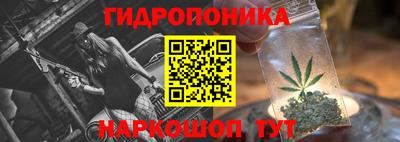 шишки Балахна