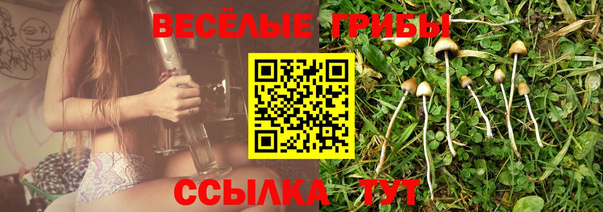 Псилоцибиновые грибы Psilocybine cubensis  Вход с VPN  Галлюциногенные грибы прущие грибы  Курск 