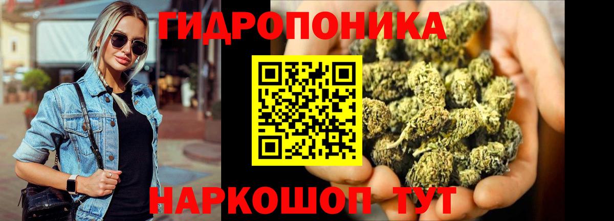 Марихуана сатива Курск
